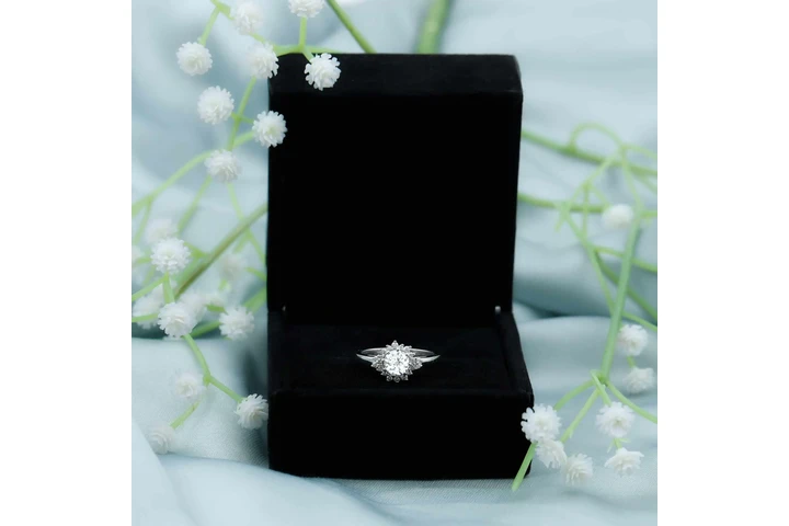 $539 : Lab Grown Halo Diamond image 4