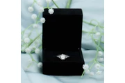 $539 : Lab Grown Halo Diamond thumbnail