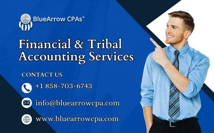 Financial & Tribal Accounting image 1
