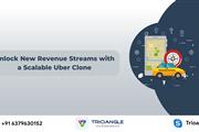 Ride-Hailing Business en Los Angeles