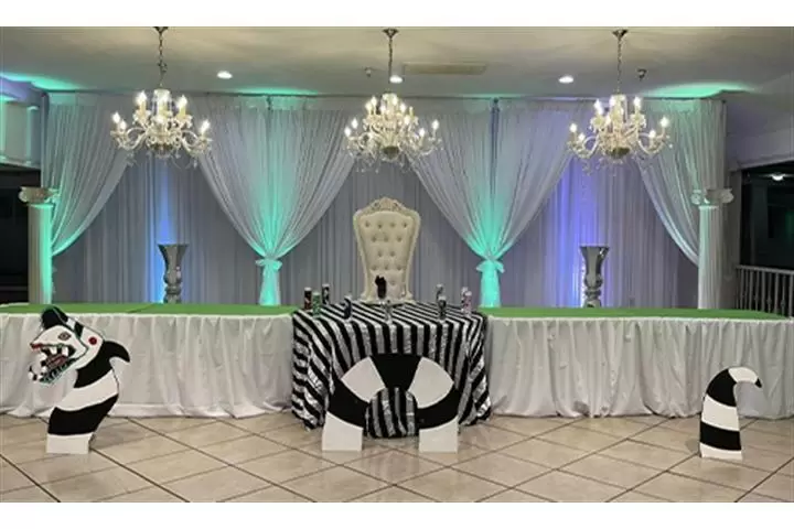 SALÓN DE FIESTAS image 9