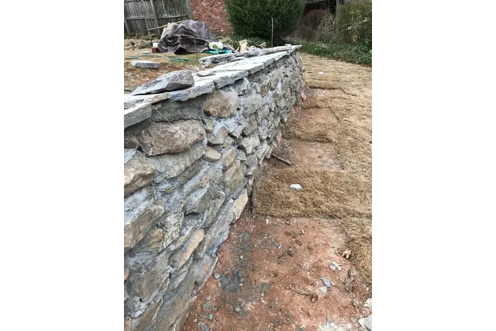 Professional Landscaping image 8