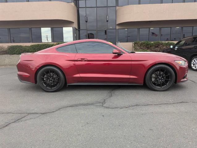 $15999 : 2015 Mustang EcoBoost image 10