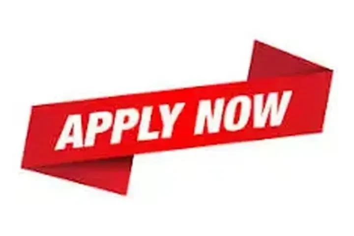 EMPLEO EN TROCA LONCHERA image 4