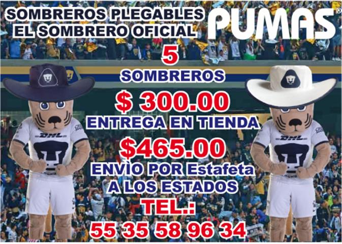 $1 : SOMBREROS PLEGABLES image 4