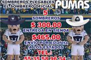 $1 : SOMBREROS PLEGABLES thumbnail