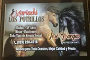 MARIACHI LOS POTRILLOS thumbnail