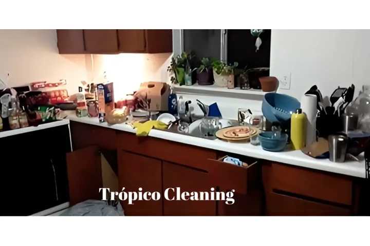 Tropico Cleaning image 3