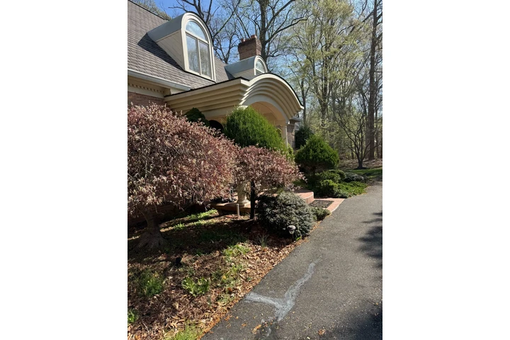 🌲LANDSCAPING SERVICES🌲 image 3
