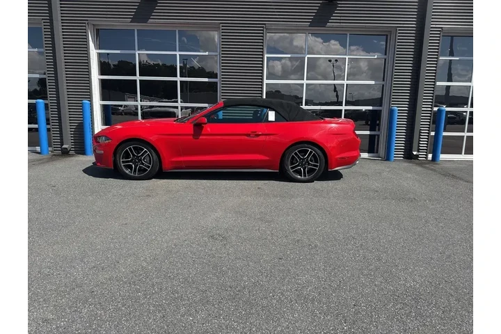 $19999 : Ford Mustang 2022 EcoBoost P image 2