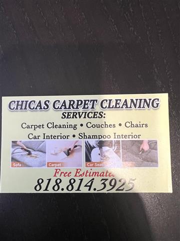 Chicas carpet cleaning image 1