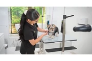 Top Rated Dog Grooming Package en Bakersfield
