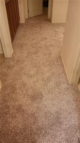 Servicios alfombras/pisos image 2