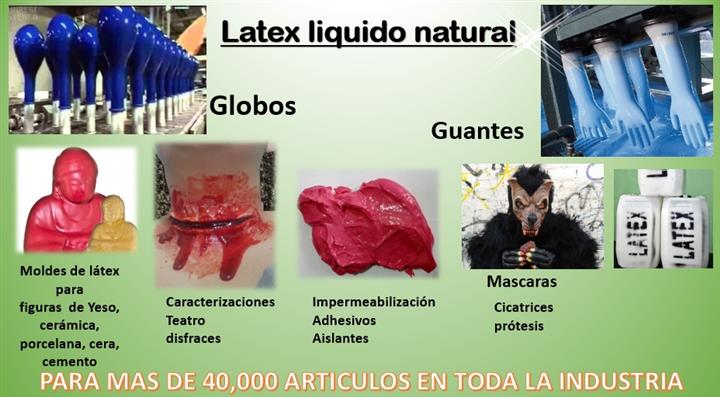 Latex liquido image 2