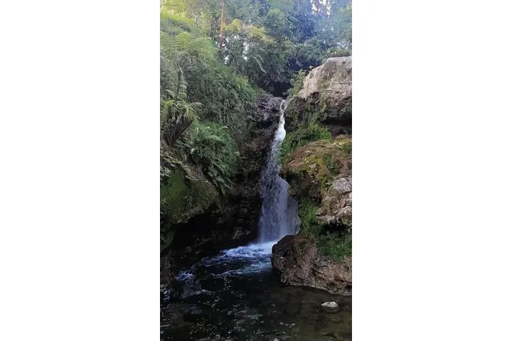 🔮✨ ANCIANO INDIO DEL AMOR 🔮✨ image 2