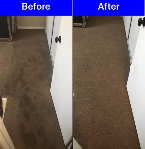 RELIABLE CARPET CLEANING image 1