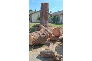 Memo's Tree Service thumbnail