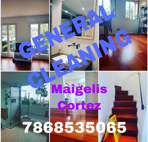 MAIGELIS GENERAL CLEANING image 1