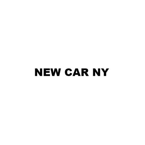 New Car NY image 1