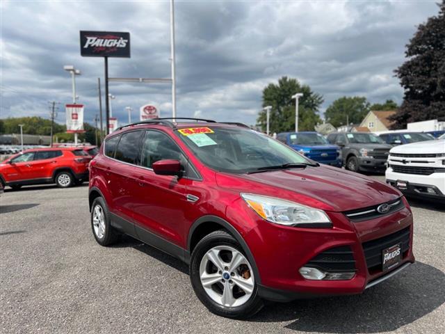 $8990 : 2014 Escape image 1