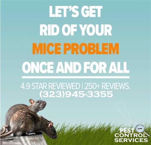 RODENT CONTROL (323)945-3355 image 3