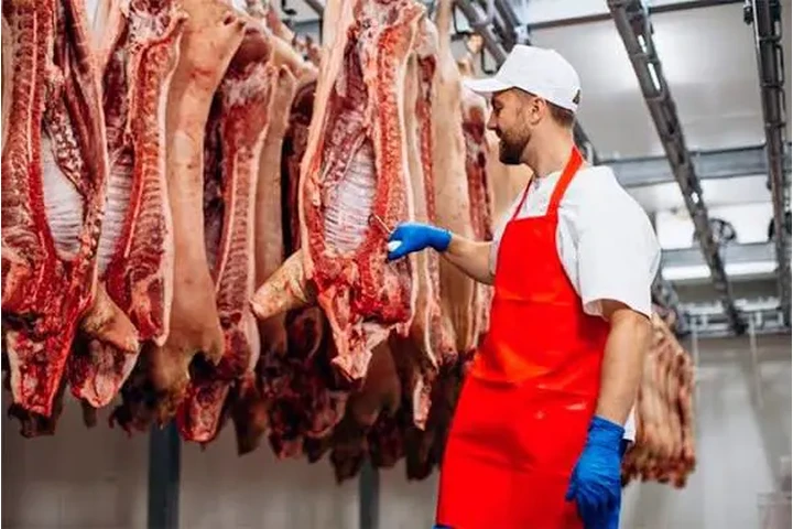 Control de Calidad image 1