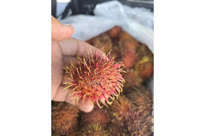 $25 : RAMBUTAN CAJA 15 LBS image 1