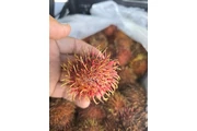 RAMBUTAN CAJA 15 LBS en Los Angeles