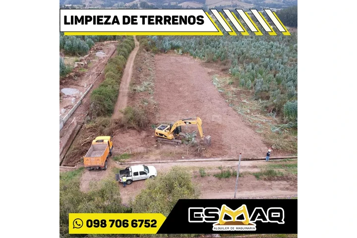 Extracción de troncos image 2