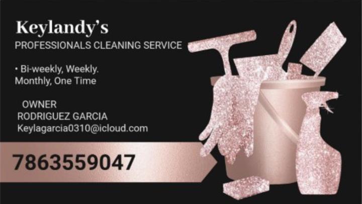 Cleaning Service image 1