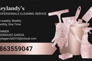Cleaning Service en Dallas