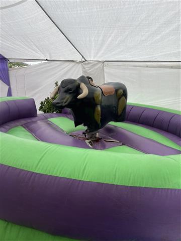 Toro Mecanico /Mechanical Bull image 3