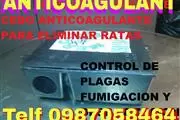 LIMPIEZA DE ALUCOBOND thumbnail