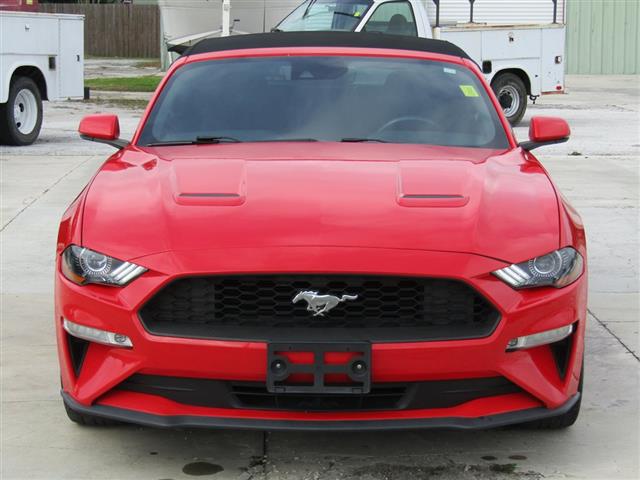$18995 : 2019 Mustang image 8