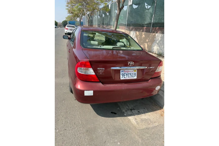 $2000 : Salbaje image 1