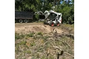 El Costeño Tree Service thumbnail 4