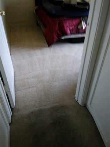 Carpet cleaning 818-721-7593 ☎ image 4