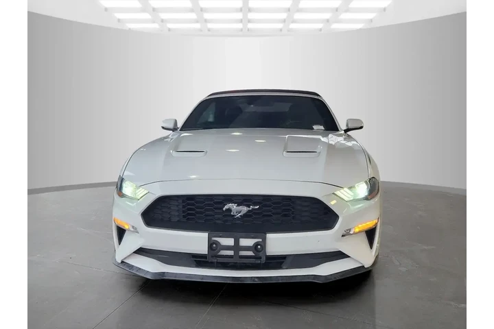 $19535 : Ford Mustang 2019 EcoBoost 2 image 2