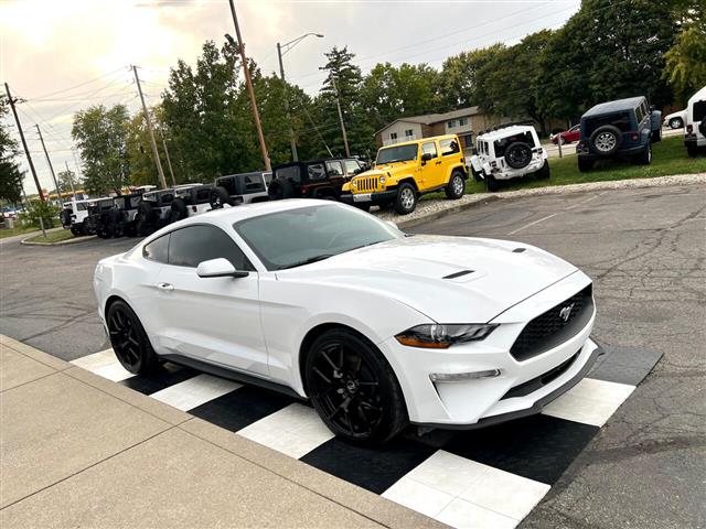 $21491 : 2020 Mustang EcoBoost Fastback image 2