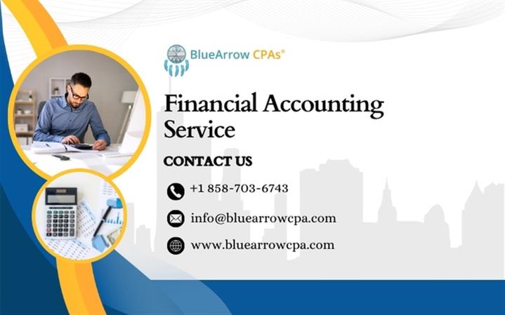 Financial Accounting Services image 1