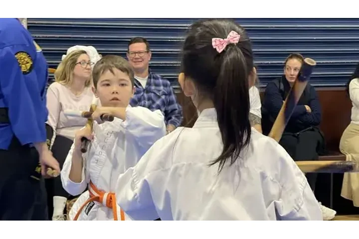 Kids Karate Classes image 1