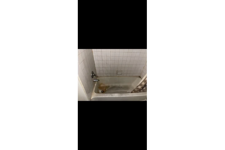 Se limpian Casas, condominios! image 5