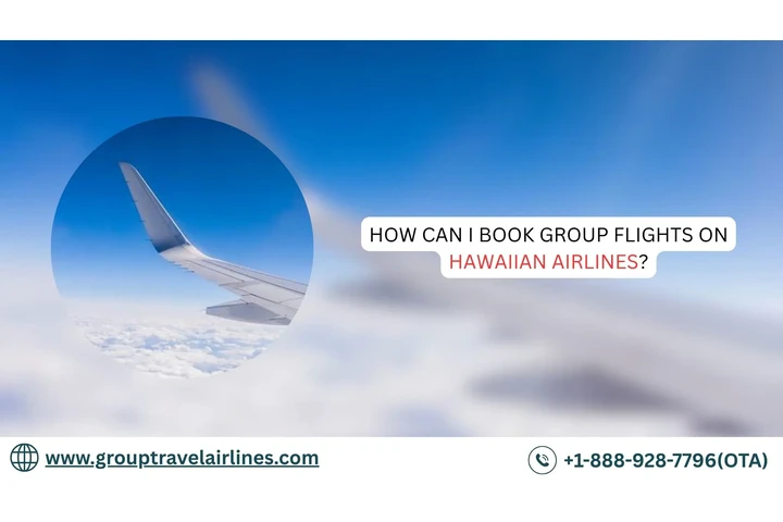 Hawaiian Airlines Group Travel image 1