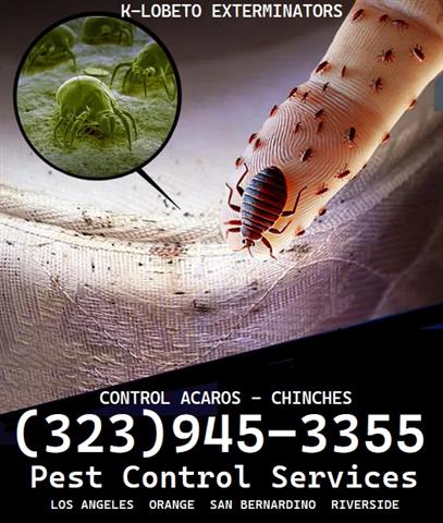 PEST CONTROL SERVICES 24/7.- image 7