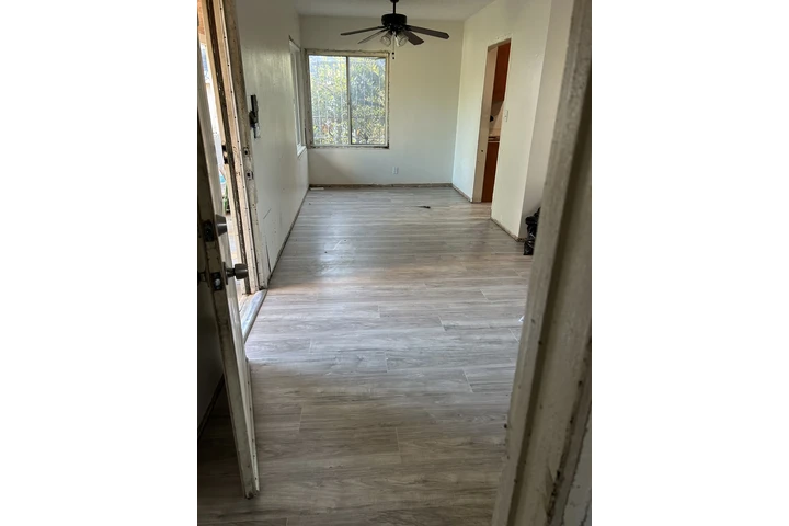 Eduard paint image 3