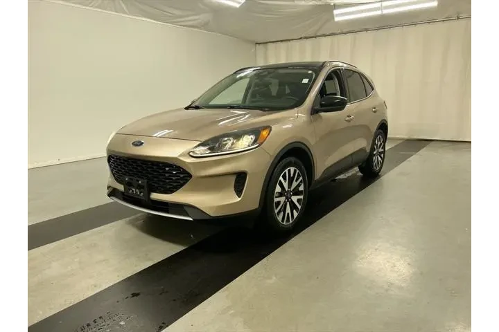 $20225 : Ford Escape Hybrid 2020 AWD image 5