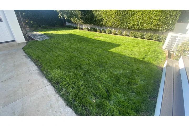 Servicio de jardinería image 2