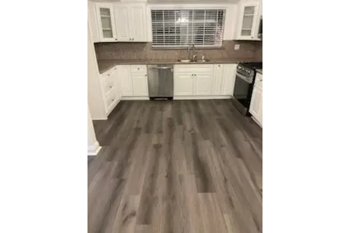 Ramona’s Carpet image 2