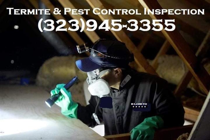 PEST CONTROL SERVICES NEAR ME. image 1