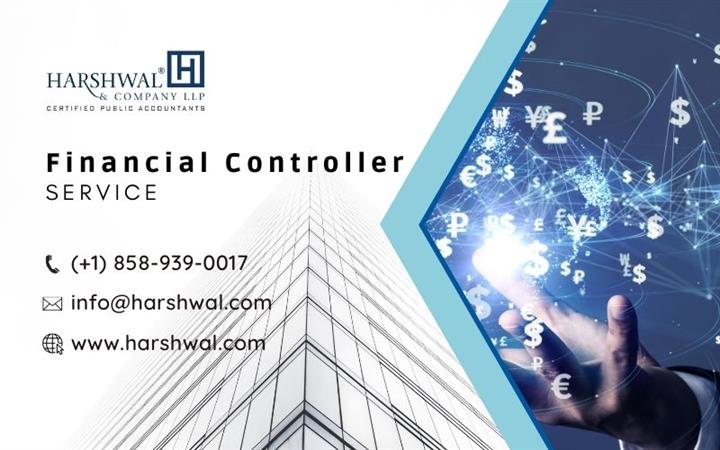 Expert financial controller image 1